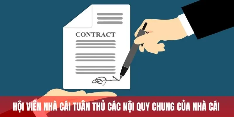 Hội viên nhà cái tuân thủ các nội quy chung của nhà cái